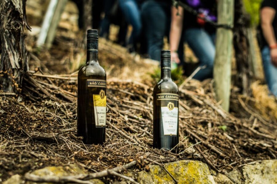 Stuttgart: Guided Vineyards Tour - Starting in the Vineyards of Steinhalde with Traditional Clothed Guides