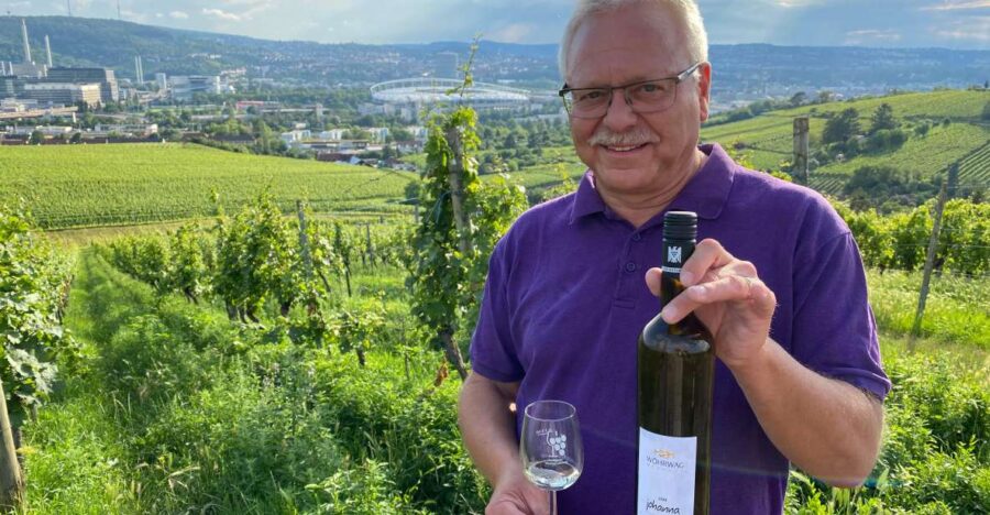 Stuttgart: Wine Tour with wines of the best winemakers - Discover the Herzogenberg Vineyard and Its Views
