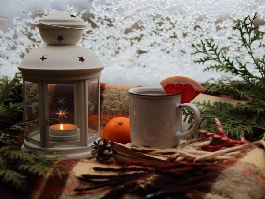 Stuttgart: Winter sleigh covered wagon tour - Cozy 45-Minute Mulled Wine Wagon Ride in Stuttgarts Vineyards