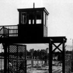 Stutthof Concentration Camp Half-Day Private Tour - How the Tour Begins: Pickup and Transportation from Gdansk