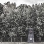 Stutthof Concentration Camp Private Tour from Gdansk - Exploring the History of Stutthof Concentration Camp