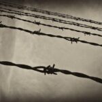 Stutthof Concentration Camp Regular Tour from Gdansk - Who Should Consider This Tour