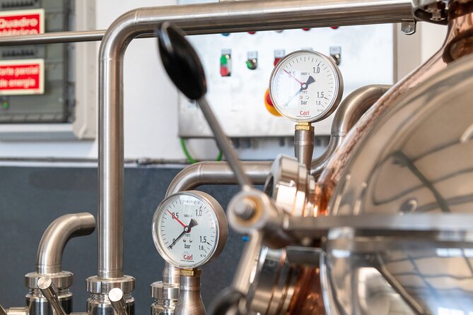 Sunny Southwest, Rum, Banana, Waterfall and Lighthouse Discovery - Departure and Logistics in Madeira’s Coastal Town