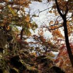 Sunset at the top: Monte Navegna Sunset Hike with Guide - Climbing Monte Navegna: The Trek to the Summit