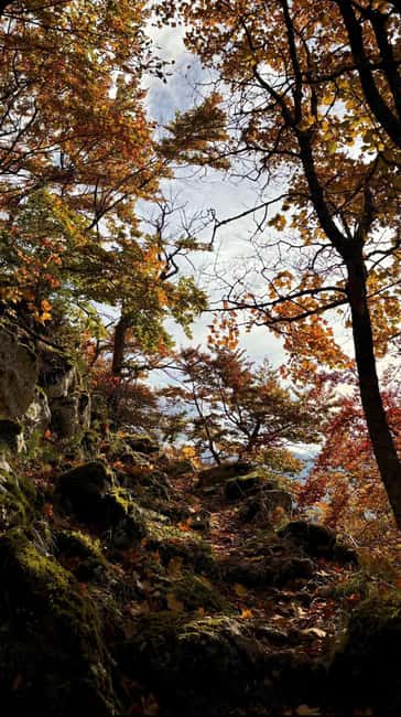 Sunset at the top: Monte Navegna Sunset Hike with Guide - Climbing Monte Navegna: The Trek to the Summit