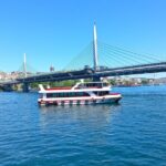 Sunset Bosphorus Cruise - Practical Details: Meeting Point and Timing