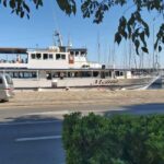 SUNSET DOLPHIN WATCHING BOAT TOUR - The Magic of the Evening Cruise with Dolphin Watching