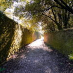 Sunset Hike in Fiesole with Aperitivo - Exploring Castello di Vincigliatas Magnificent Grounds