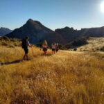 Sunset Hike & Summit Sierra Nevada with pup - Starting Point at Emperador Carlos V - Palacio Deportes