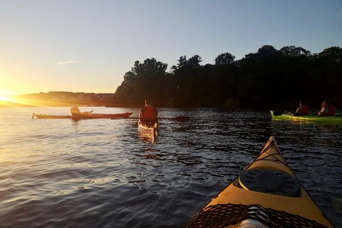 Sunset Kayak Tour in Central Stockholm and Swedish Fika - The Experience of Paddling Through Central Stockholm