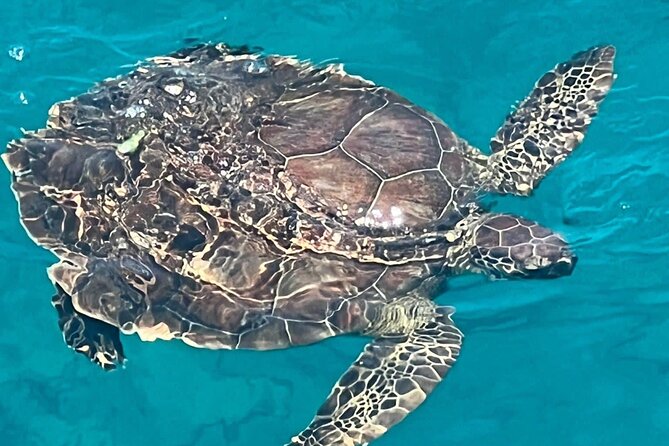 SUNSET LUXURY YACHT from Protaras - Cypriot Dinner - 1 free drink - The Charm of Cape Greco National Forest Park from the Water