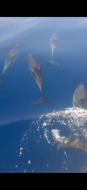 Sunset tour in search of dolphins with aperitif - Exploring the Coastal Route from Giardini Naxos and Taormina