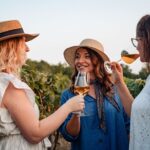Sunset wine tasting in vineyard - Starting Your Journey at Vardia’s Vinyard in Dubrovnik