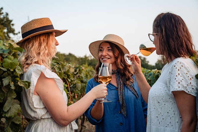 Sunset wine tasting in vineyard - Starting Your Journey at Vardia’s Vinyard in Dubrovnik