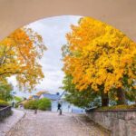 Suomenlinna: Private Finntastic Tour through Guns & Tunnels - Starting Point and Meeting Details at Suomenlinna Pier