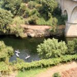 SUP TOUR - Explore Porto´s surroundings on a SUP Board - The Meeting Point and Transfer to Porto’s Riverside