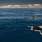 Swimming with Dolphins in Terceira Island - Introduction to the Equipment and Safety Briefing