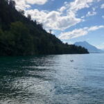 Swiss Highlights: Guided Zürich, Lucerne and Basel tour - Exploring Zürich’s Lakeside Charm and Parks