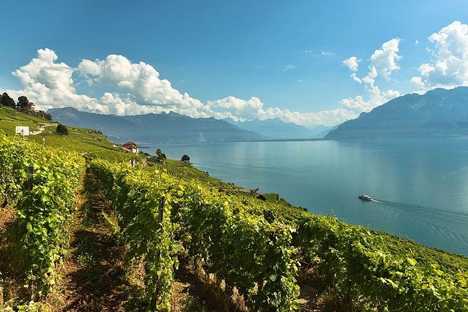Swiss Wine Tasting at Lavaux Vineyards: Private Trip from Geneva - Visiting Wineries on Lake Geneva and Learning About Their Heritage