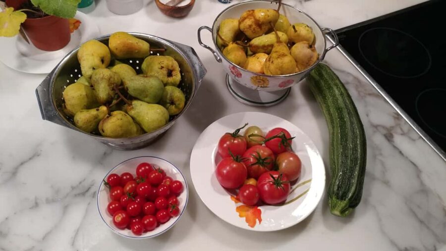 Switzerland: Dining Experience at a Local's Home - Why This Experience Stands Out