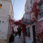 Syros - Ermoupoli Cultural Walking Tour - Discovering Ermoupoli’s Historic Market and Town Hall