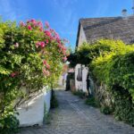 Szentendre Daytrip (Artists' Village) - Szentendre’s Unique Food Scene and Shopping Opportunities