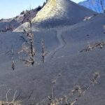 Tajogaite Volcano VIP Experience: Private Tour with a Certified Guide - Exploring the Lava-Flows from the 2021 Eruption
