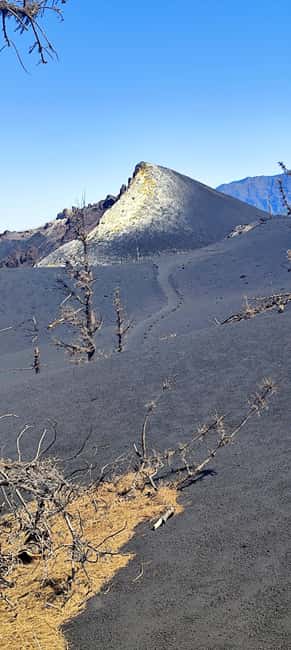 Tajogaite Volcano VIP Experience: Private Tour with a Certified Guide - Exploring the Lava-Flows from the 2021 Eruption