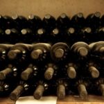 Tamburini Wine Tour and Tasting - Exploring Tamburinis Historic Vineyards and Cellars