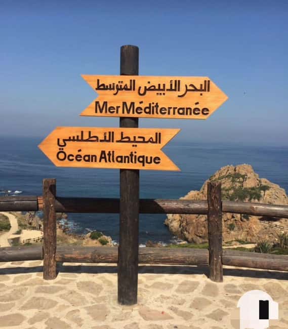 Tangier: Day Trip from Tarifa To Tanger { camel ride - Seamless Transportation from Tarifa to Tangier