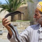 Tangier Private Half-Day Tour + Camel Ride + Add-on: Lunch - Walking Through the Enchanting Medina of Tangier