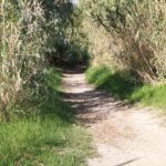 Taormina: Excursion on the Saracen Path - Visiting the Taormina-Giardini Station and Its Hidden Secrets