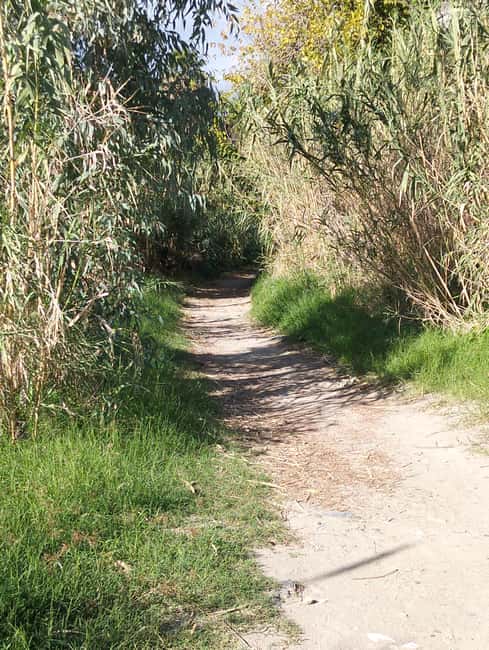 Taormina: Excursion on the Saracen Path - Visiting the Taormina-Giardini Station and Its Hidden Secrets