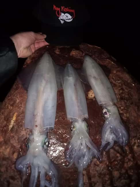 TAORMINA:CATAMARAN FISHING TRIP WITH ROY FISHING - Starting Point at Porto di Giardini Naxos