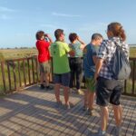 Tarragona: Southern Delta Birdwatching Private Tour - Exploring the Natural Reserves: SeoBirdLife & Riet Vell