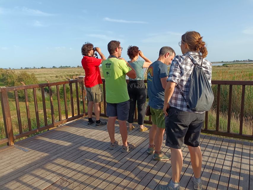 Tarragona: Southern Delta Birdwatching Private Tour - Exploring the Natural Reserves: SeoBirdLife & Riet Vell