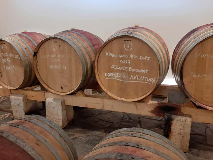 Taste amazing wines in Alentejo! - Starting Point at Vasco da Gama Castle in Sines