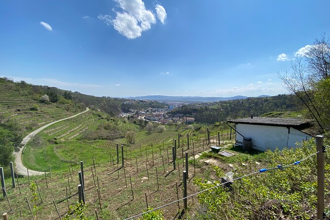 Taste and Tour Small Organic Wineries with a Winemaker - The Starting Point in Krems and The Tour Duration