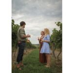 Taste Local Wines and Discover Pezinok - Practical Details: Meeting Point, Timing, and Accessibility