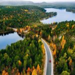Taste of Lapland - Discovering Norvajärvi: The Forest and Lakeside Setting