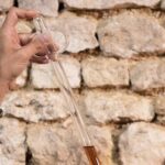 Tasting Bourgoin Cognac the real winegrower's cognac - Meeting at the Heart of Cognac: The Starting Point