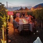 Tasting in a Tuscan Vineyard with transfer from Lucca - Wine Tasting with Local Cheese, Salami, and Bread