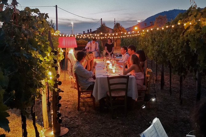 Tasting in a Tuscan Vineyard with transfer from Lucca - Wine Tasting with Local Cheese, Salami, and Bread