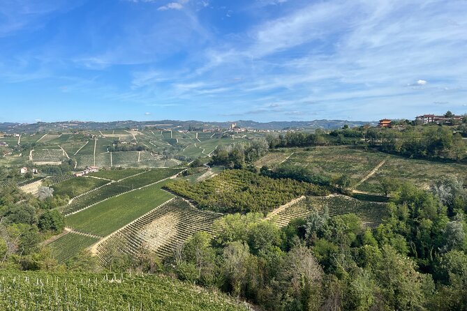 Tasting of Classic Method Sparkling Wines - Key Points