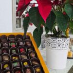 Tavira City & Chocolate - Exploring Tavira’s Historic Center by TukTuk