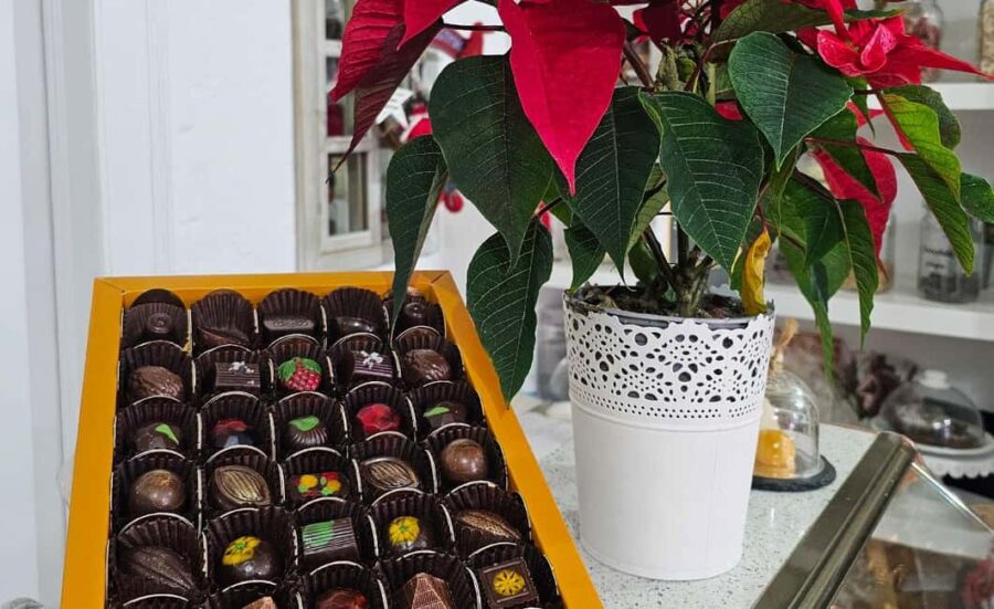 Tavira City & Chocolate - Exploring Tavira’s Historic Center by TukTuk