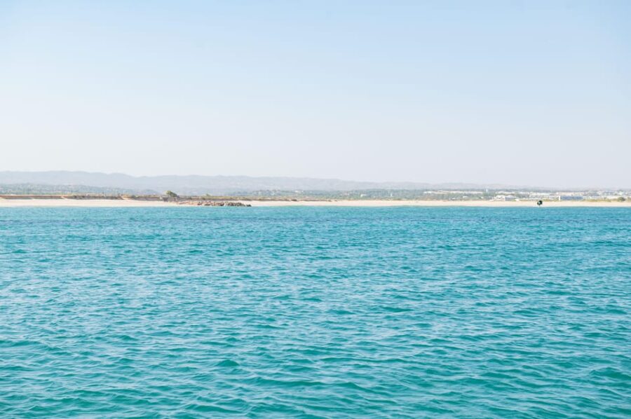 Tavira: Passeio Half Day - Snorkeling in the Underwater World of Ria Formosa