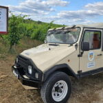 Tavira, Santa Luzia & Wine Tasting - Scenic Drive Through Taviras Historic Centre