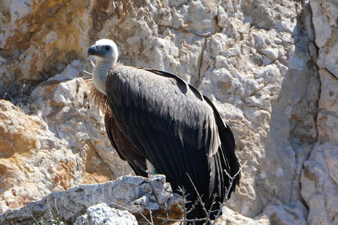 Taxi boat Kormat - Meeting Point and Logistics at Punat Port