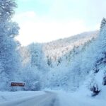 Tbilisi: Borjomi and Bakuriani Day Trip with Guide - Starting Point at Meidan Square